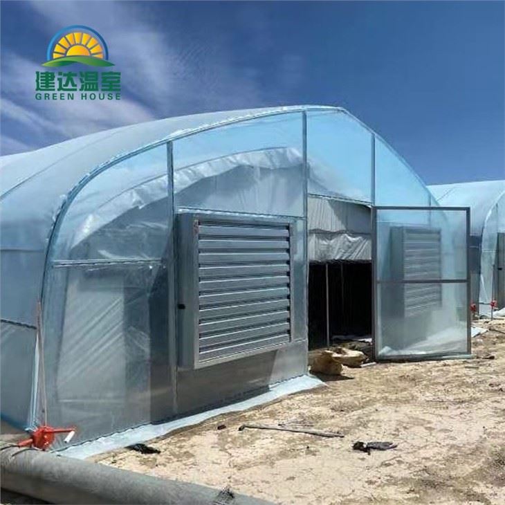 Blackout Green House