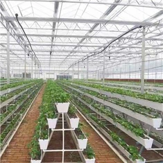 Un trogolo per piantare una grondaia agricola verticale con telaio