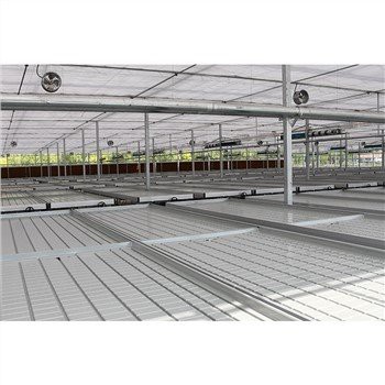 Letto di semina in serra