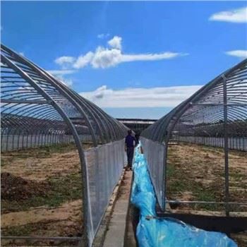 Serra a pellicola a campata singola