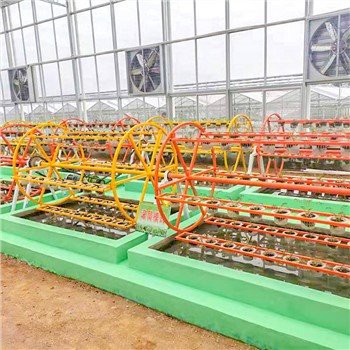 Idroponica Verticale