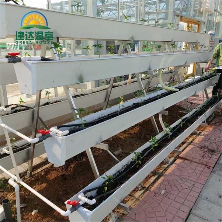 Strawberry Planting Gutter