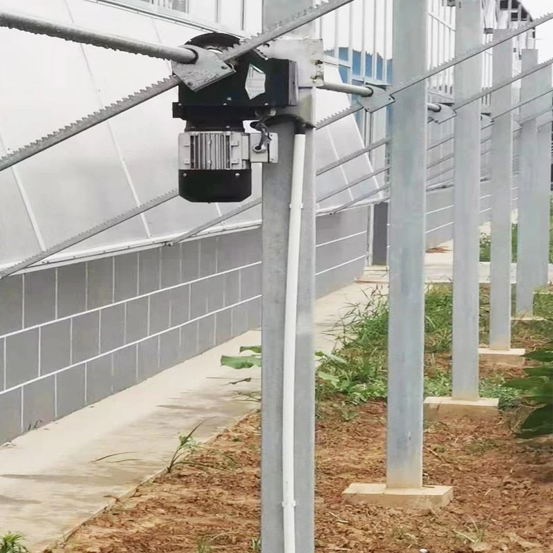 Sistema di ventilazione della serra per water pad