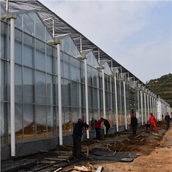 Progettazione e costruzione di serre