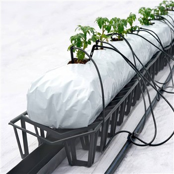 Piantagione di pomodori idroponica