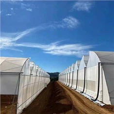 Serra dei sistemi idroponici