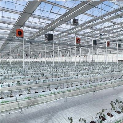 Progetto standard nazionale e industriale agricolo e rurale 2025