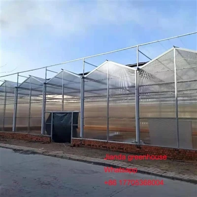 Serra in policarbonato per PC per verdure agro